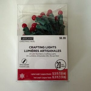Ashland Festive Red LED Craft Lights